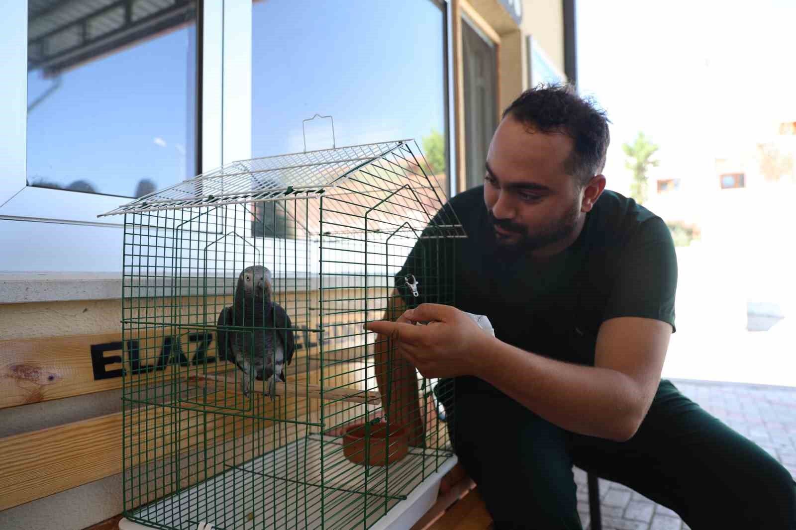 ’Kübra’ diye seslenen papağan, Tuba’sına kavuştu