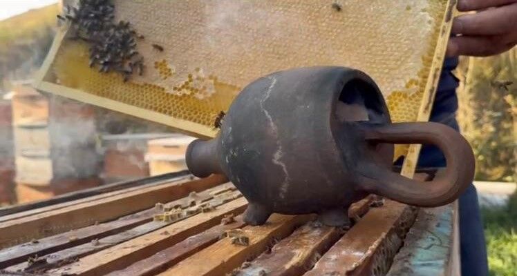 Karslı arıcı, 120 yıllık Terrakota ile arıların sakinleşmesini sağlıyor