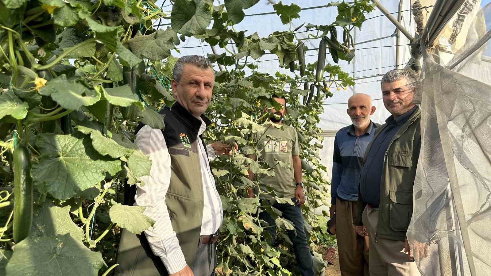 Yüksekova’da seracılık gelişiyor