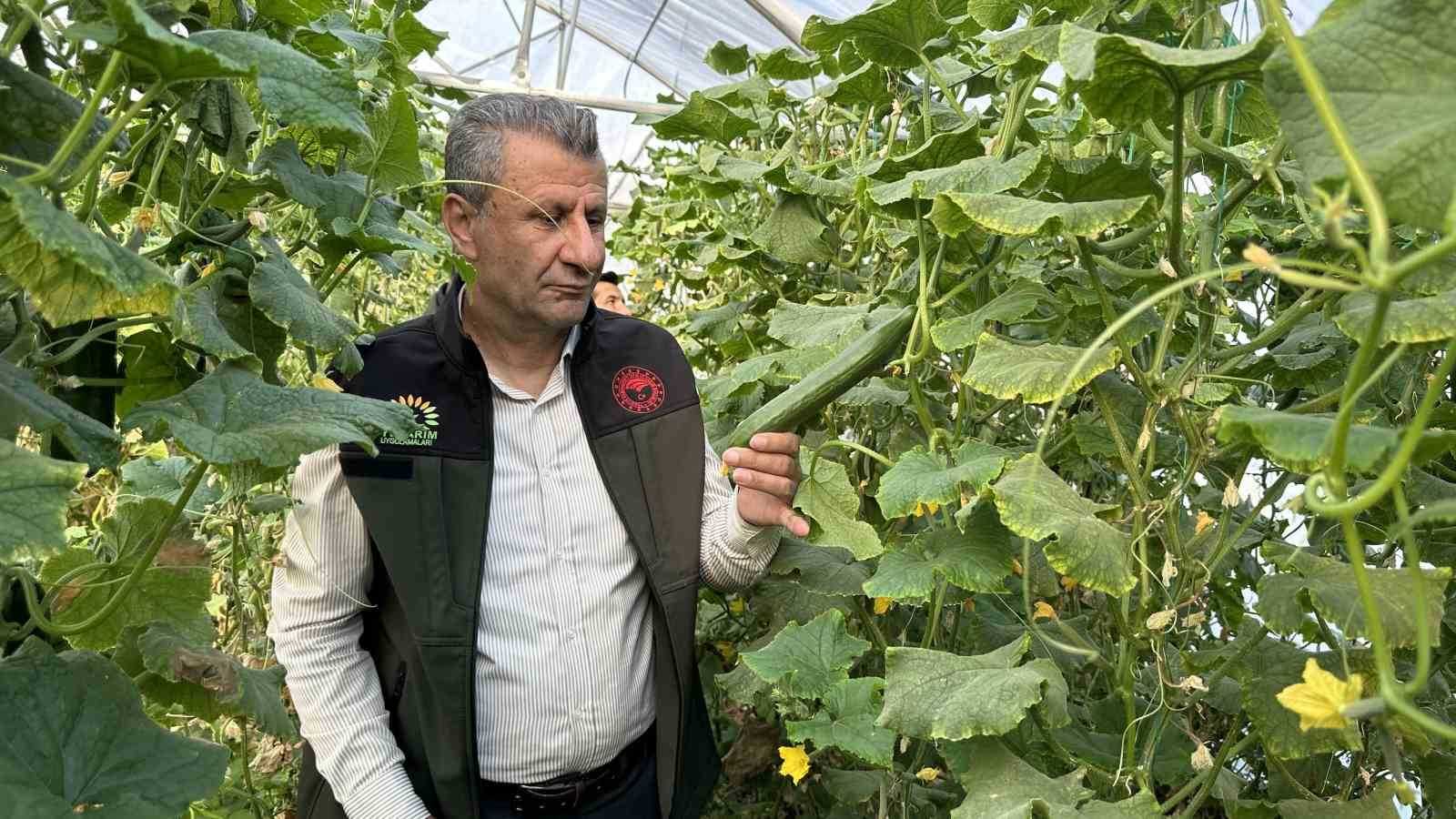 Yüksekova’da seracılık gelişiyor