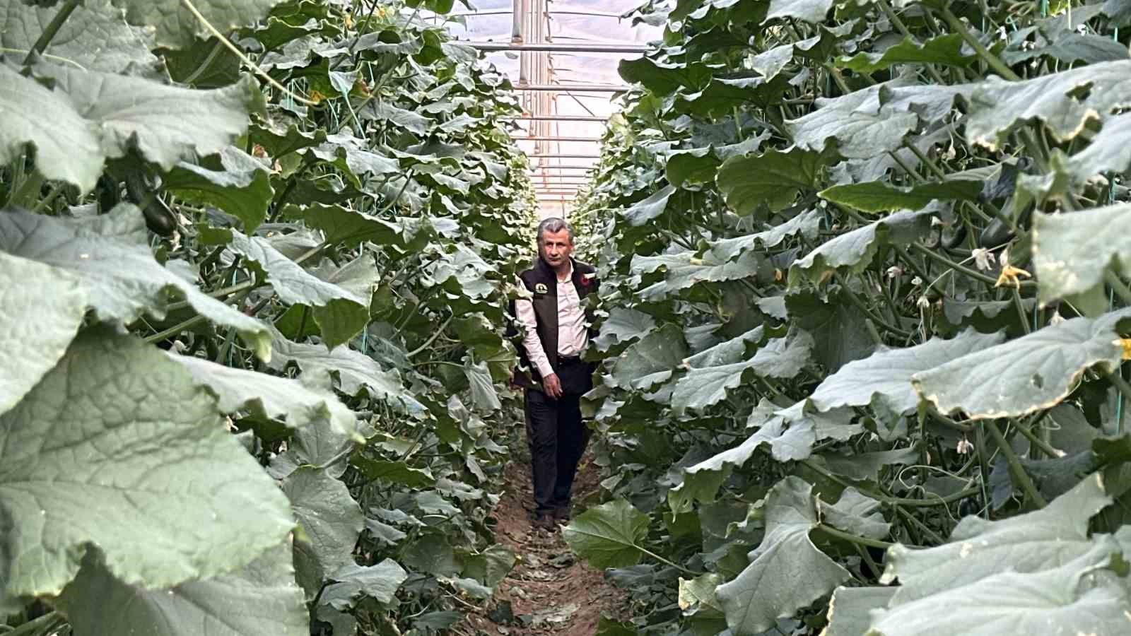 Yüksekova’da seracılık gelişiyor