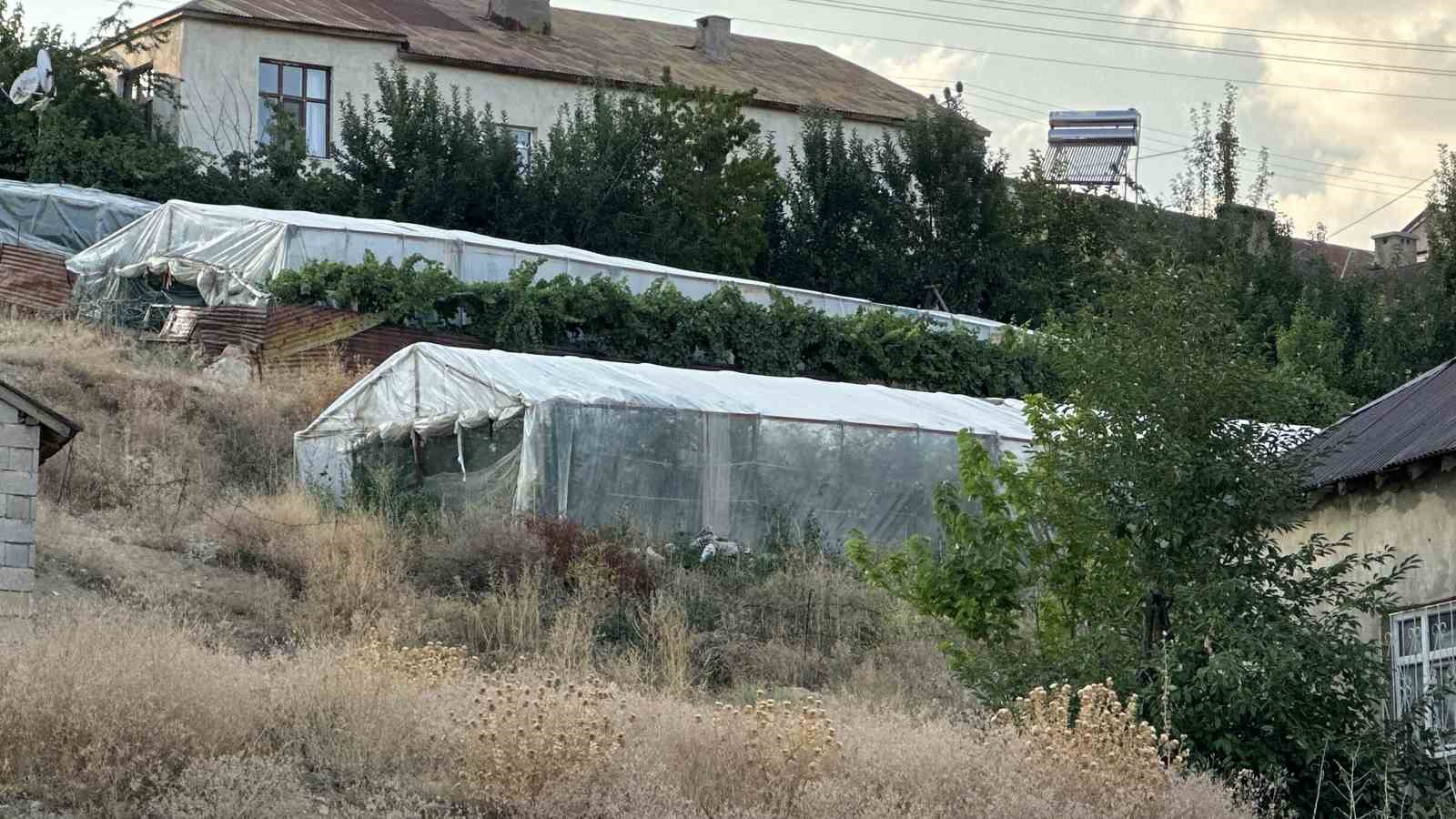 Yüksekova’da seracılık gelişiyor