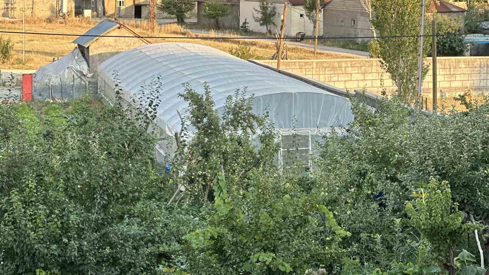 Yüksekova’da seracılık gelişiyor