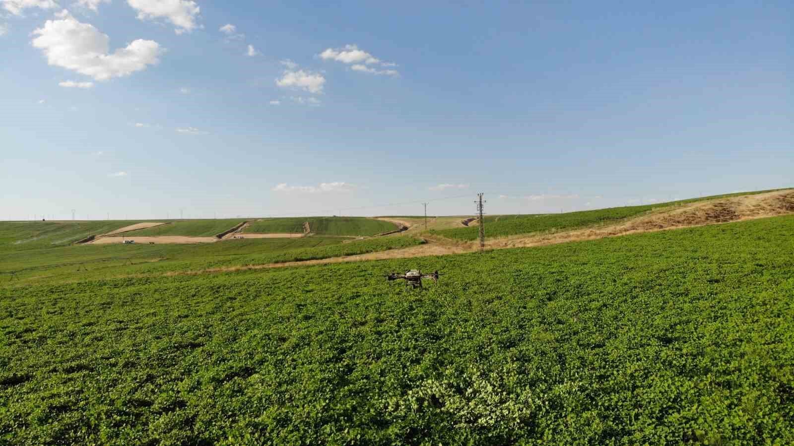 Bitlis’teki çiftçiler tasarruf için ilaçlamayı dronla yapıyor