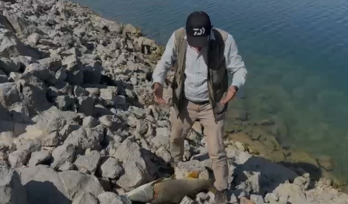 Oltaya takılan 35 kiloluk dev turna balığını kucaklamak istedi, verdiği tepki gülümsetti