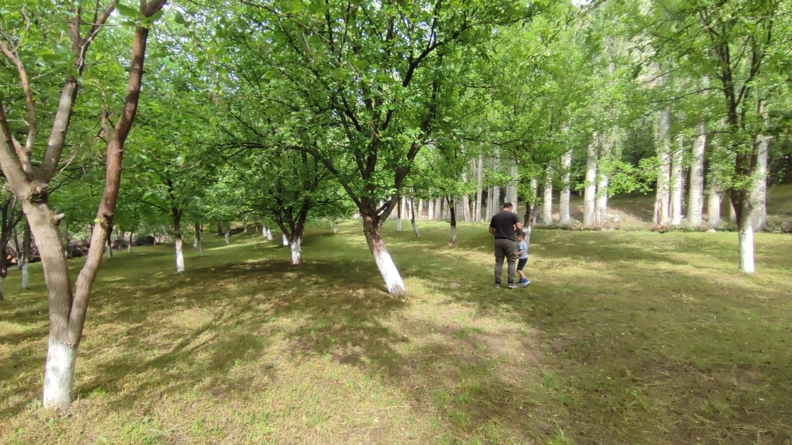 Aşur Taş’ın Alapınar Mahallesindeki bahçesi görenleri büyülüyor