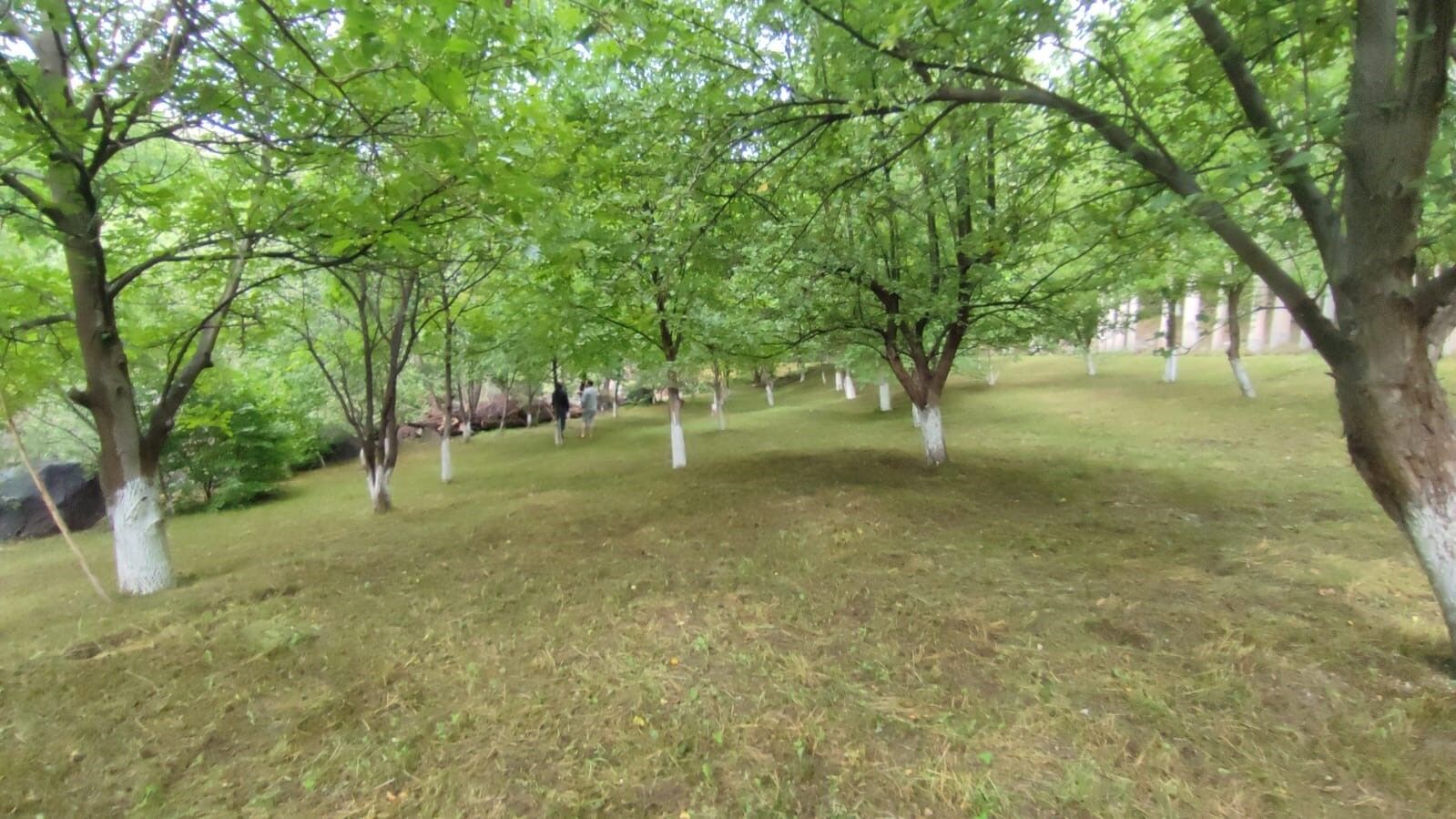 Aşur Taş’ın Alapınar Mahallesindeki bahçesi görenleri büyülüyor