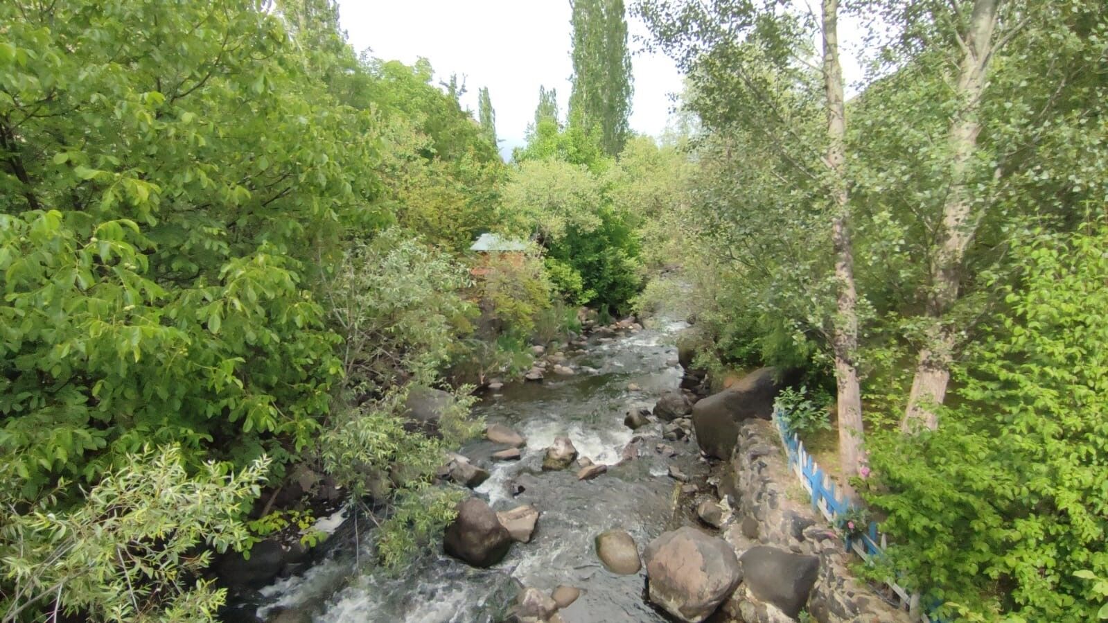 Aşur Taş’ın Alapınar Mahallesindeki bahçesi görenleri büyülüyor
