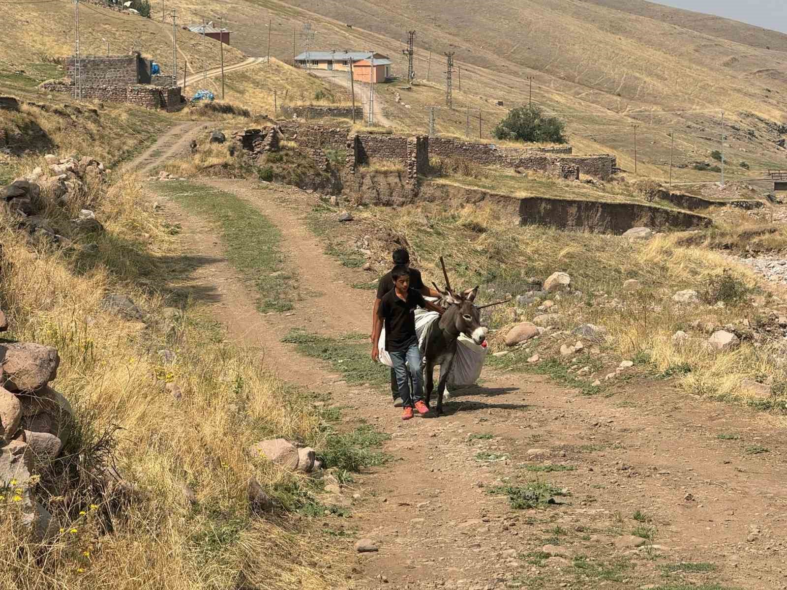 Iğdırlı çocukların eşekle su taşıma çilesi