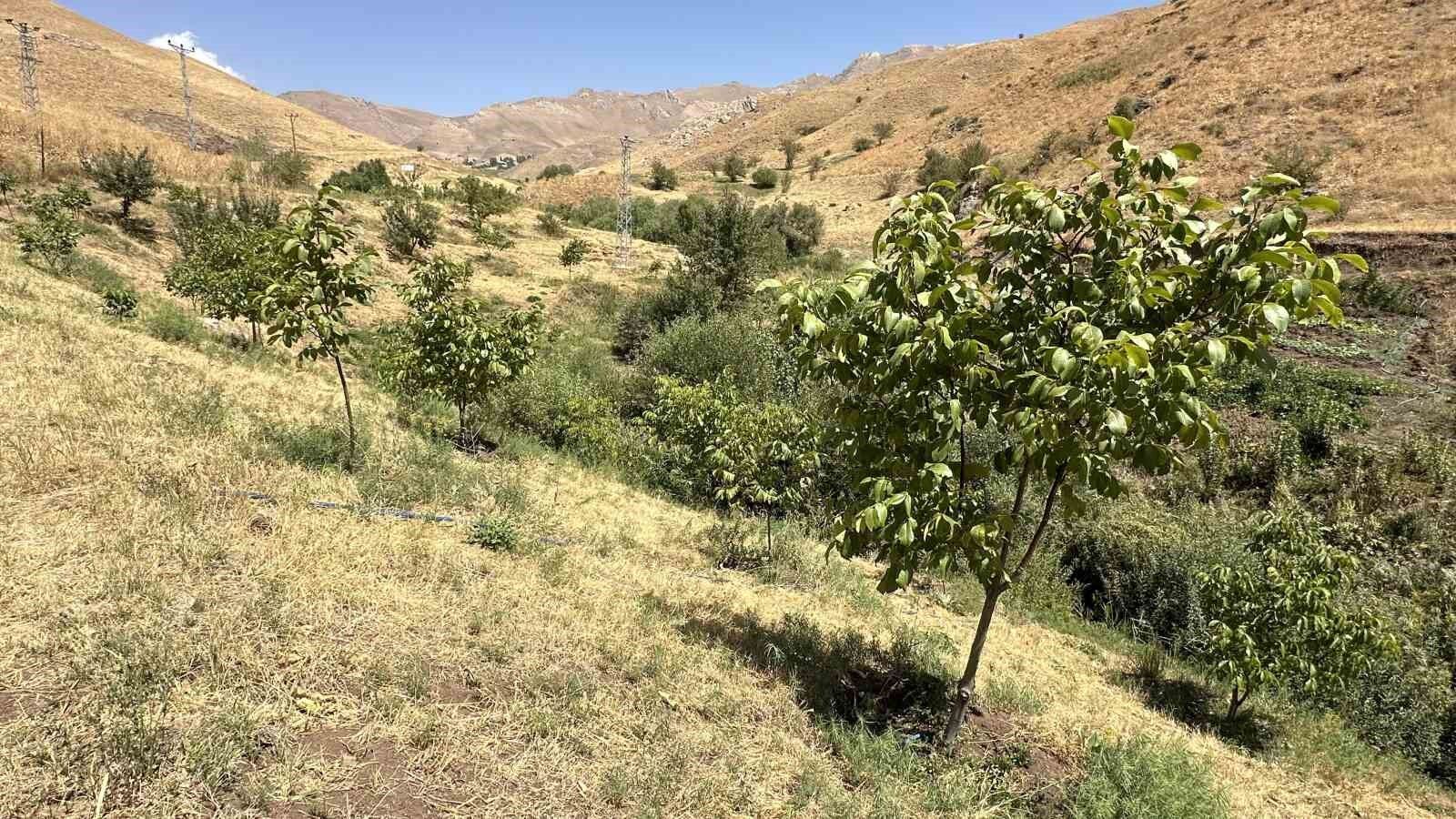 Hem öğretmen hem çiftçi