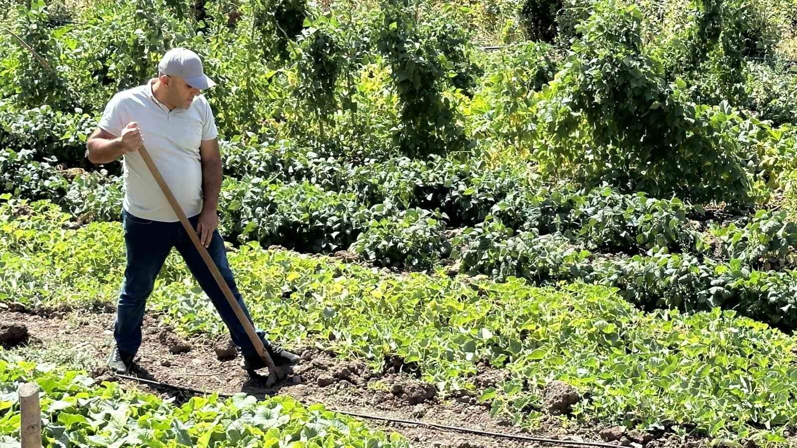 Hem öğretmen hem çiftçi