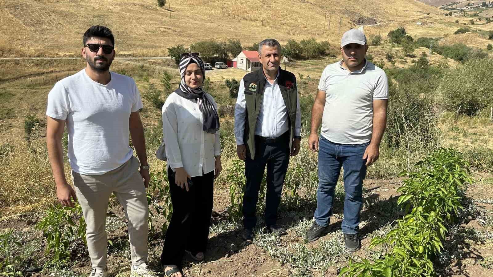 Hem öğretmen hem çiftçi