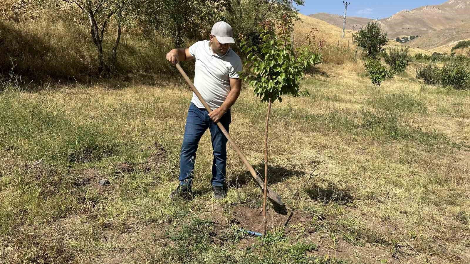 Hem öğretmen hem çiftçi