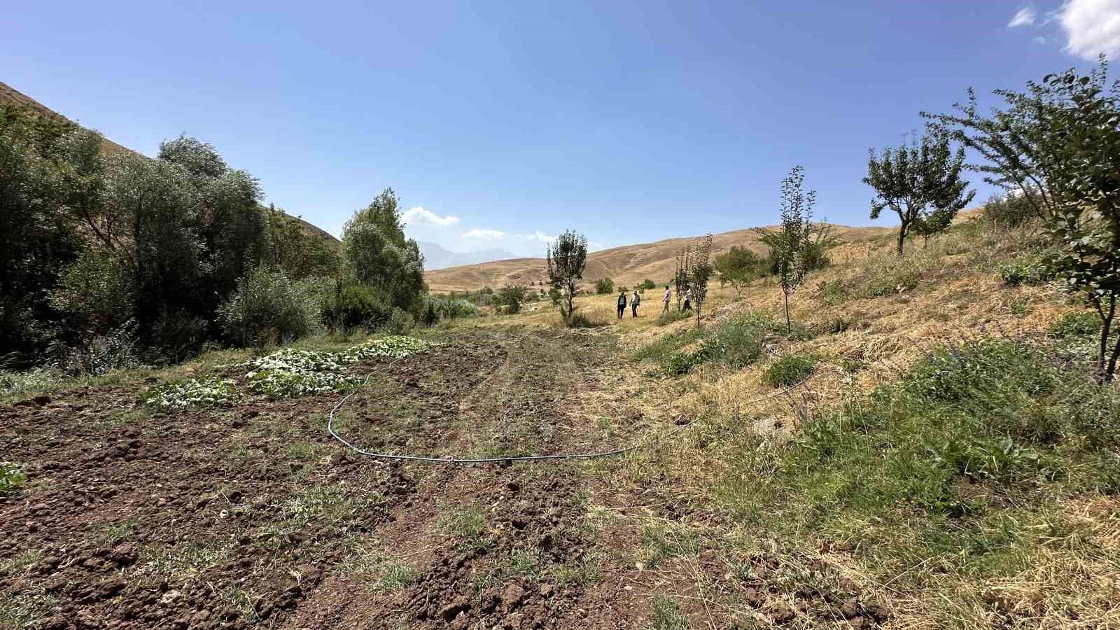 Hem öğretmen hem çiftçi