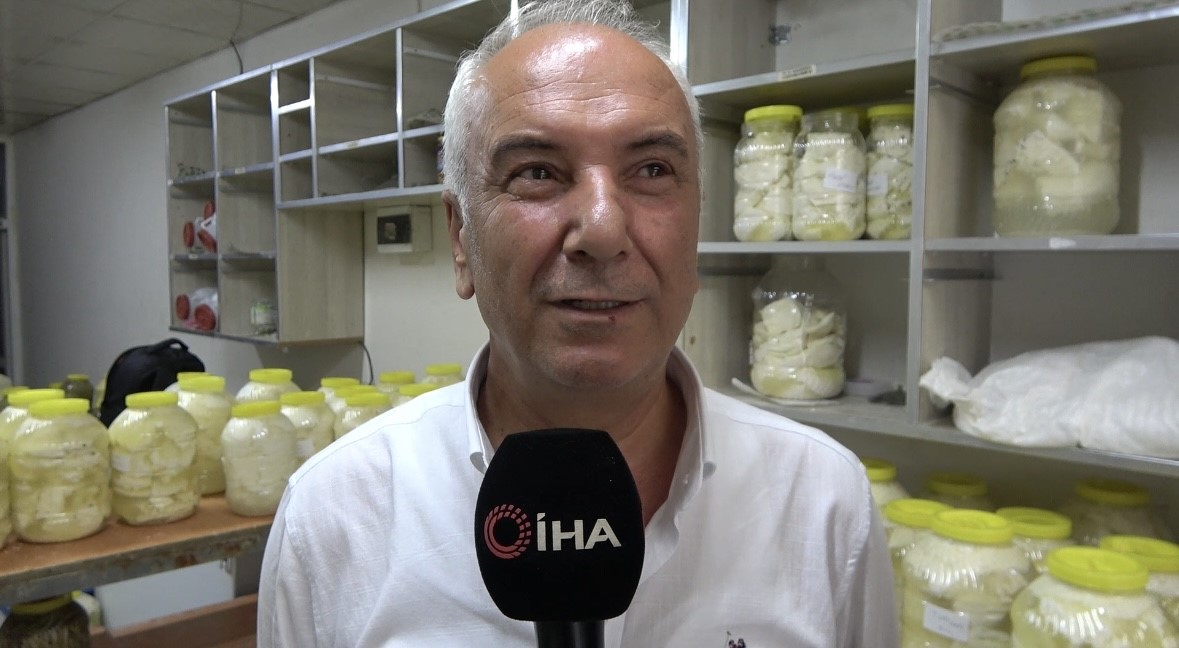 Tatvan’ın yayla peynirine büyük ilgi