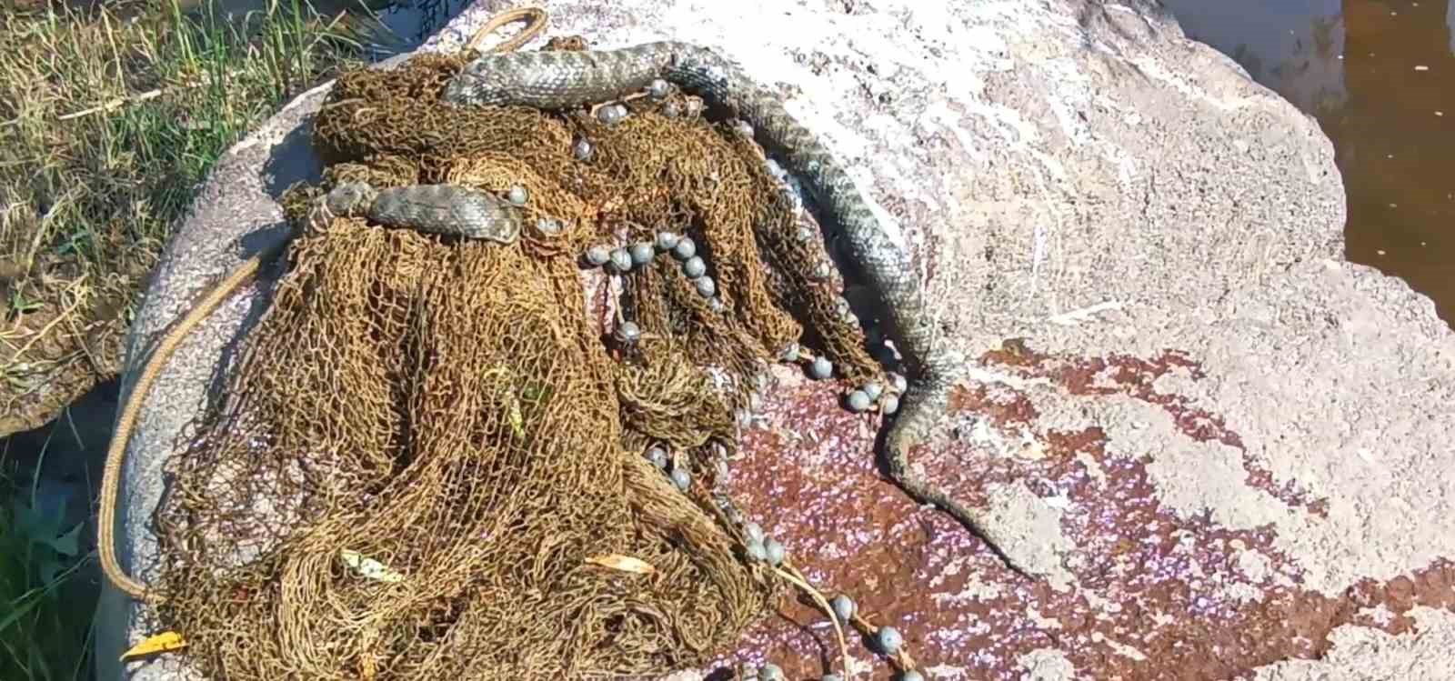 Doğa fotoğrafçısı Deliçay’da çöp topladı