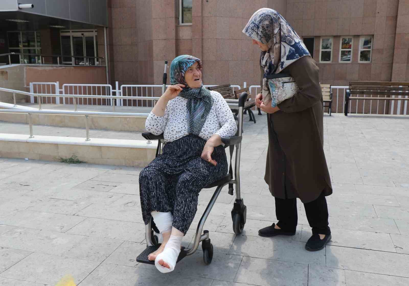 Başıboş köpeklerin saldırısına uğrayıp yaralanan kadın dehşet anlarını anlattı