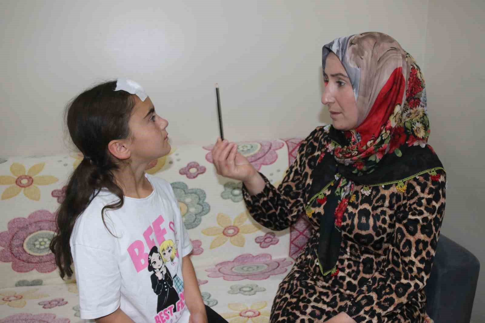 Cumhurbaşkanı Recep Tayyip Erdoğan küçük Ada’ya ışık oldu