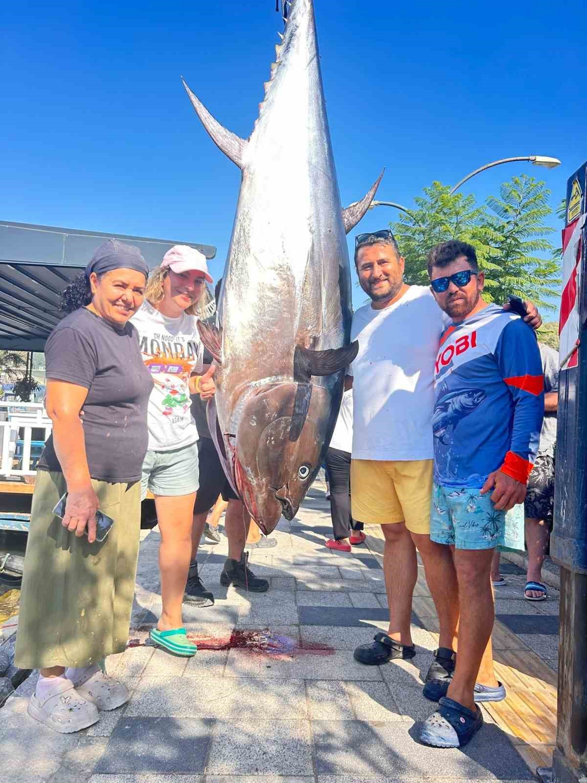 Bodrumlu balıkçılar, 316 kiloluk dev orkinos yakaladı