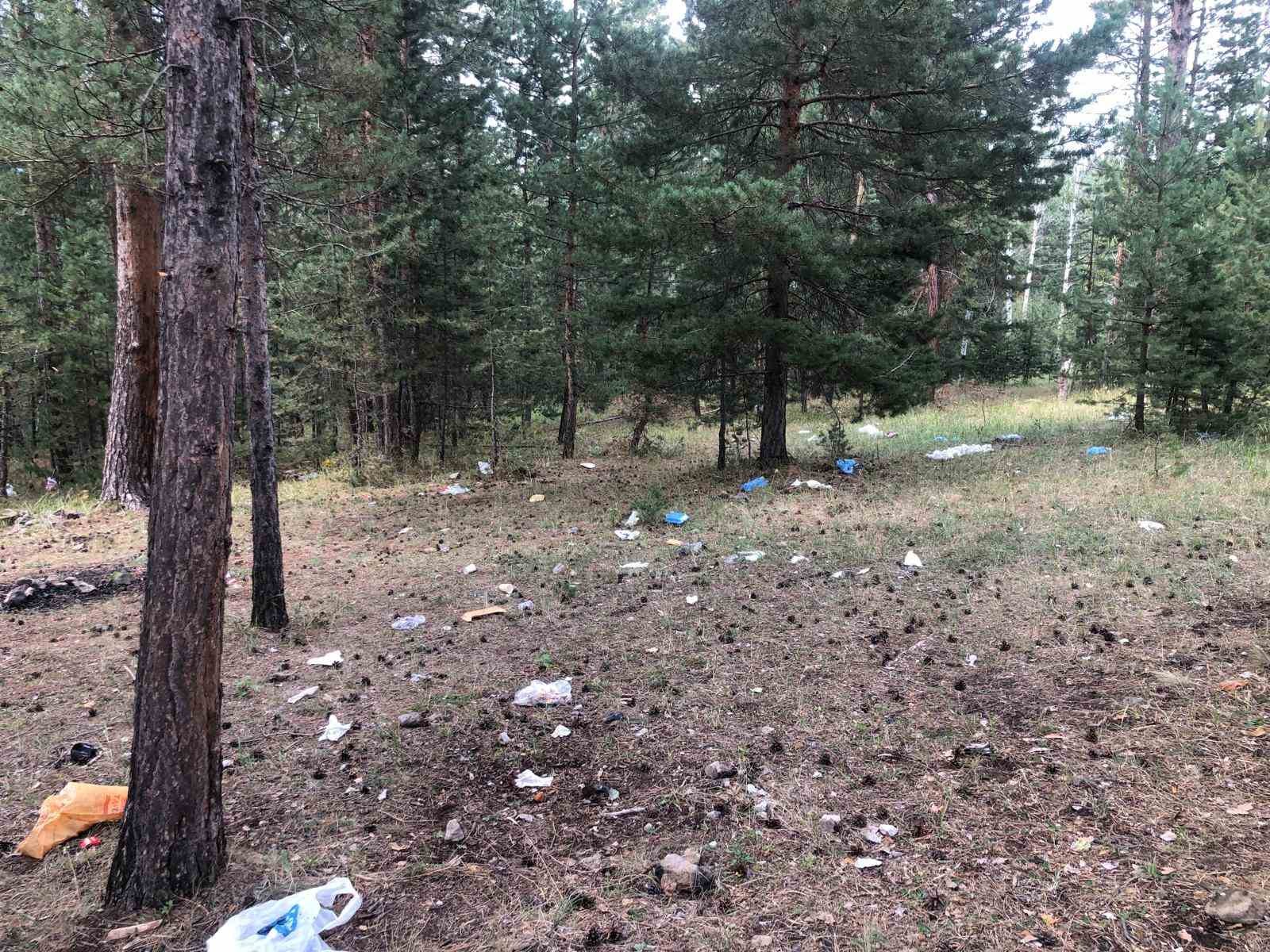 Piknikçiler Sarıkamış ormanını çöplüğe çevirdi