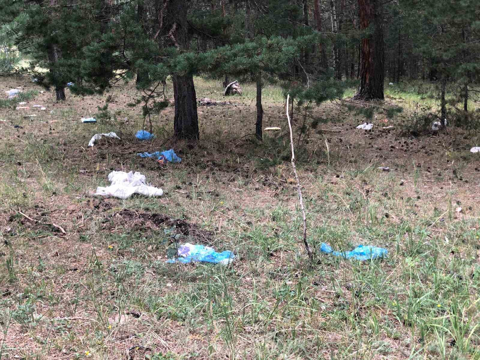 Piknikçiler Sarıkamış ormanını çöplüğe çevirdi