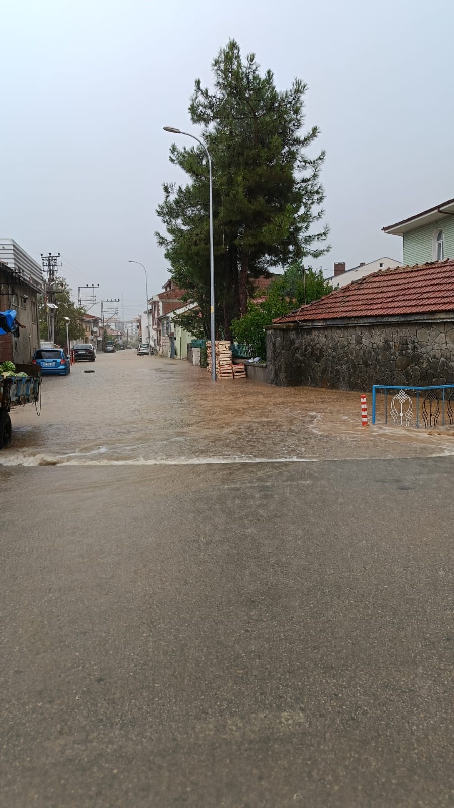 Bilecik’te ceviz büyüklüğünde dolu yağdı