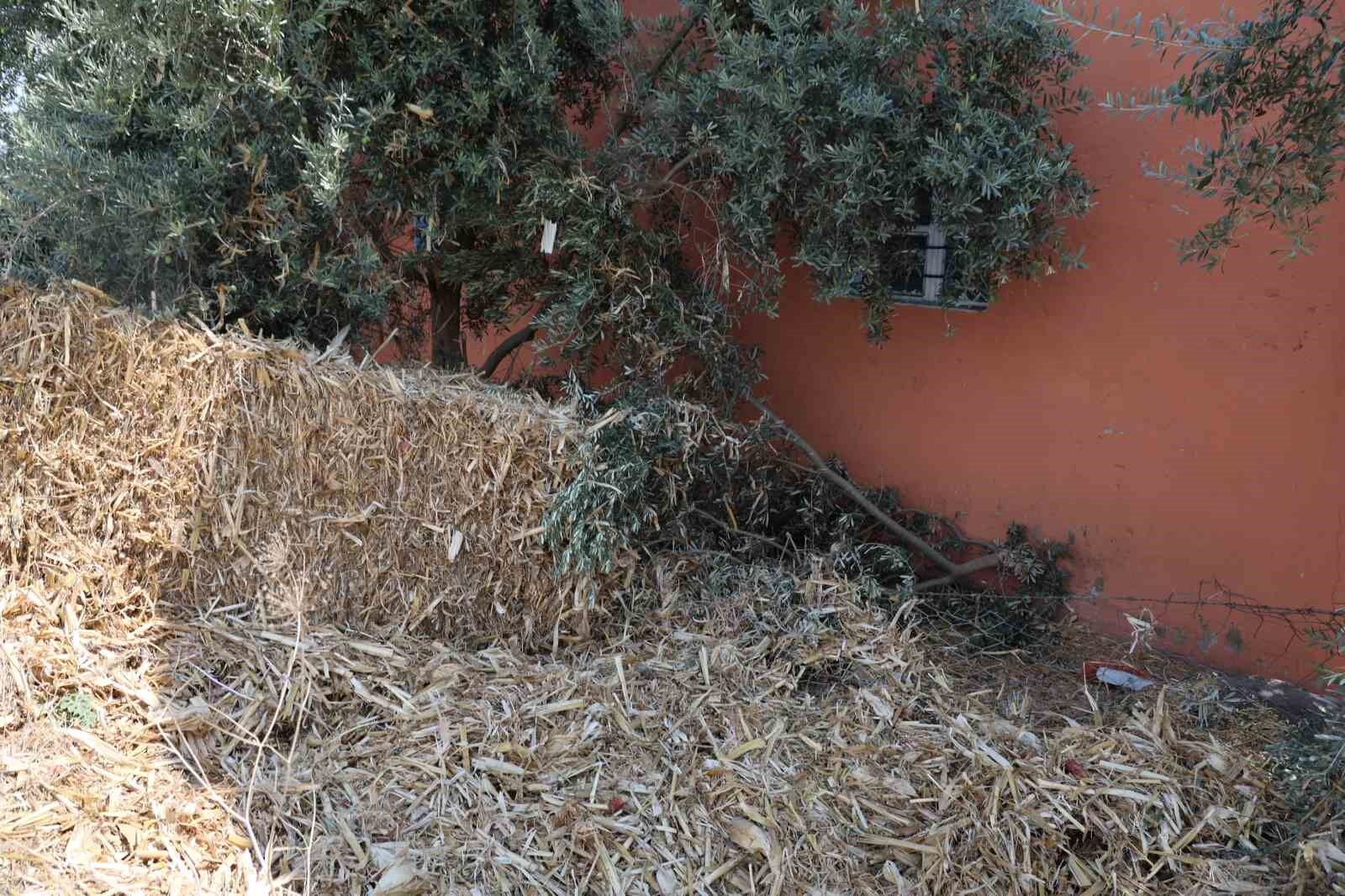 Balya taşıyan kamyonların tedbirsizliği vatandaşı canından bezdirdi