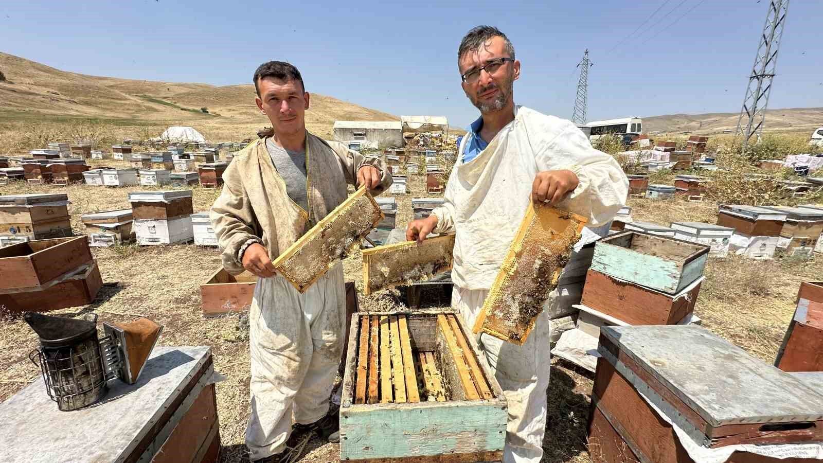 Cilo Dağı’nın eteklerinde bal bereketi: Kovan kovan bal sağımı başladı
