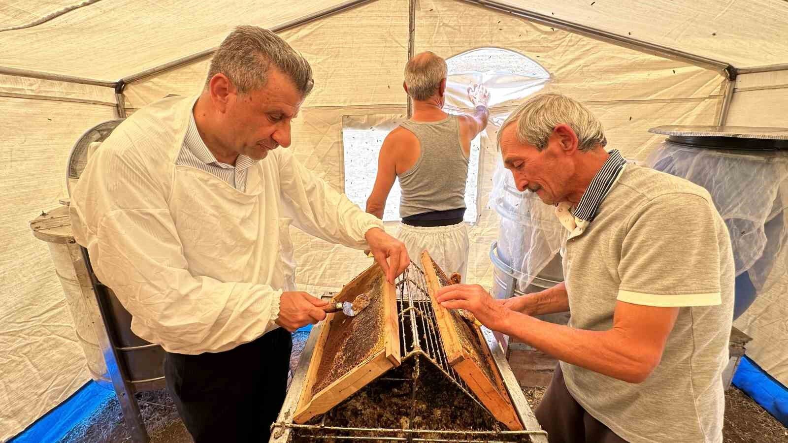 Cilo Dağı’nın eteklerinde bal bereketi: Kovan kovan bal sağımı başladı