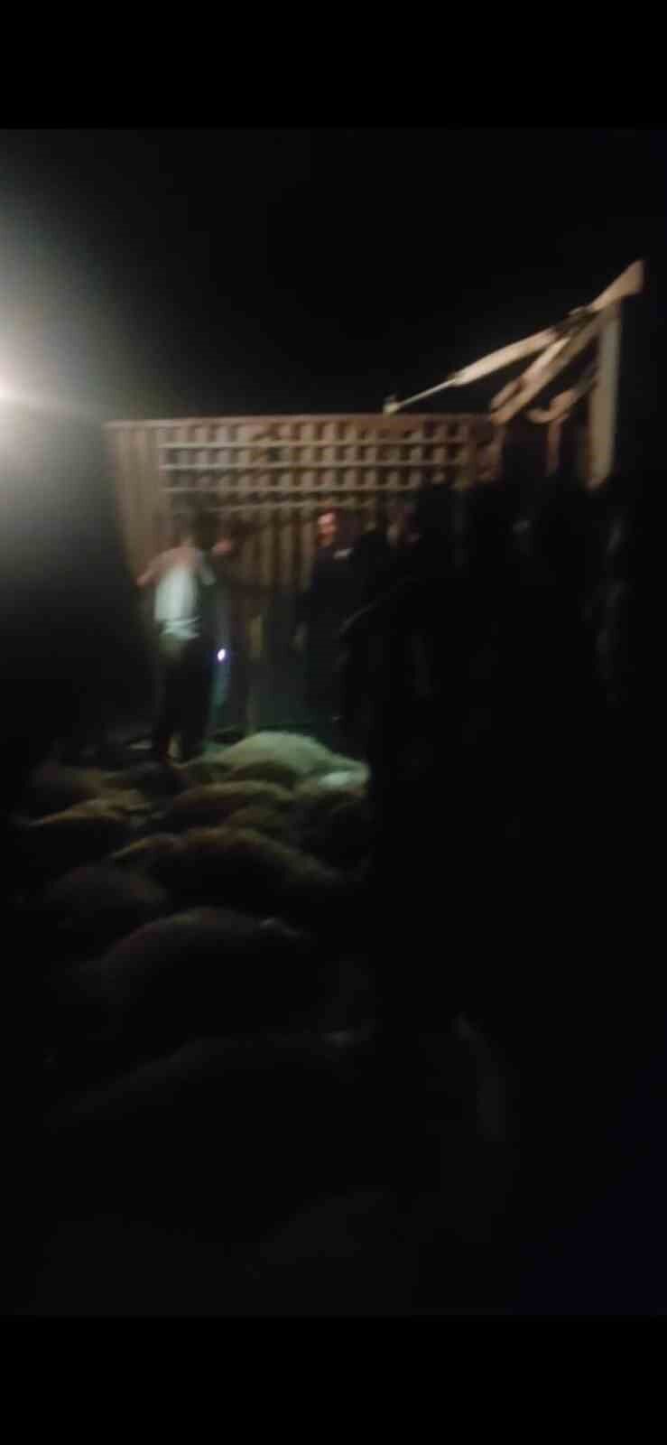 Tatvan’da tır devrildi: 63 koyun telef oldu