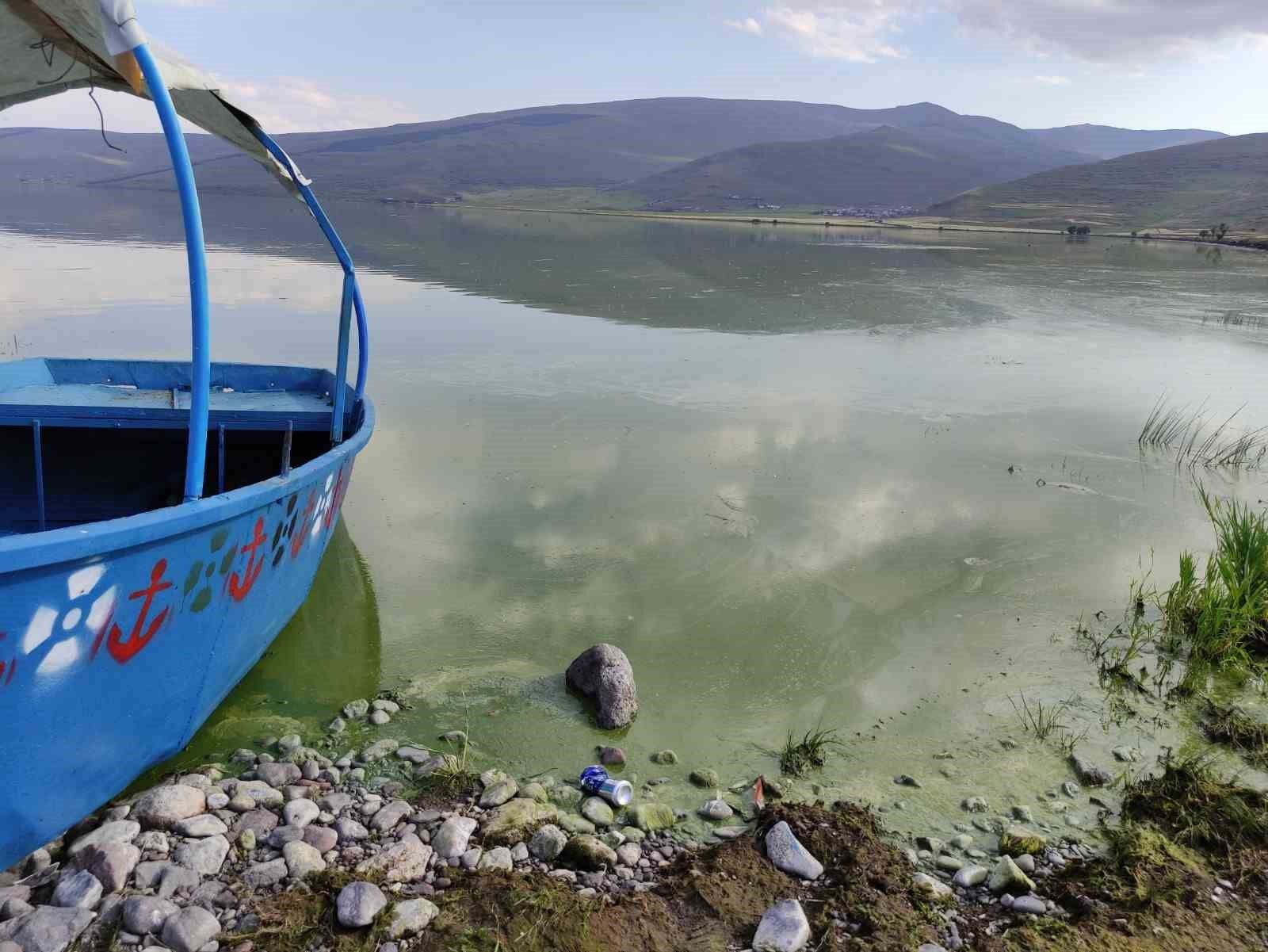 Çıldır Gölü’nde alg patlaması yaşandı: Göl yeşil renge büründü