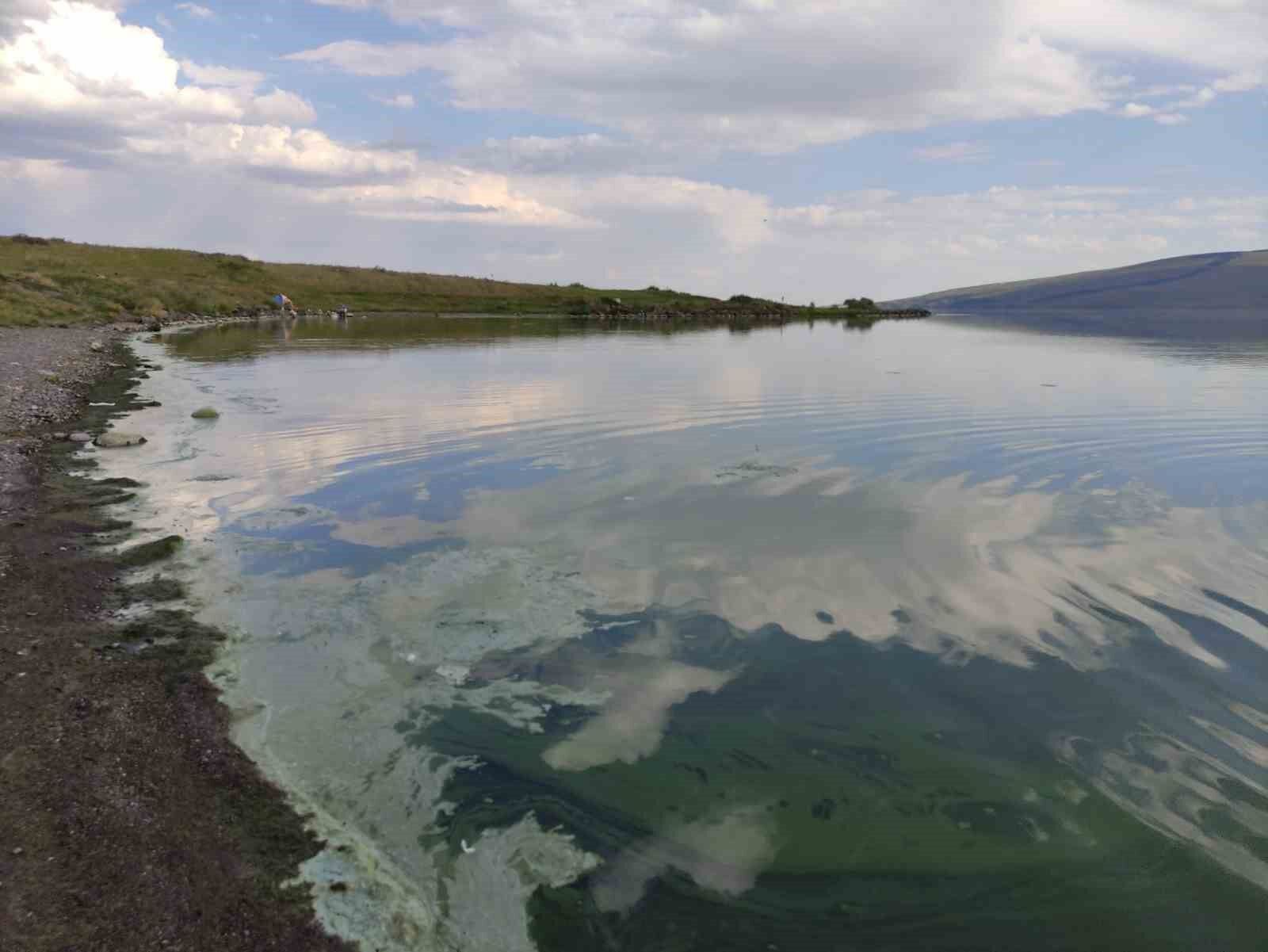 Çıldır Gölü’nde alg patlaması yaşandı: Göl yeşil renge büründü