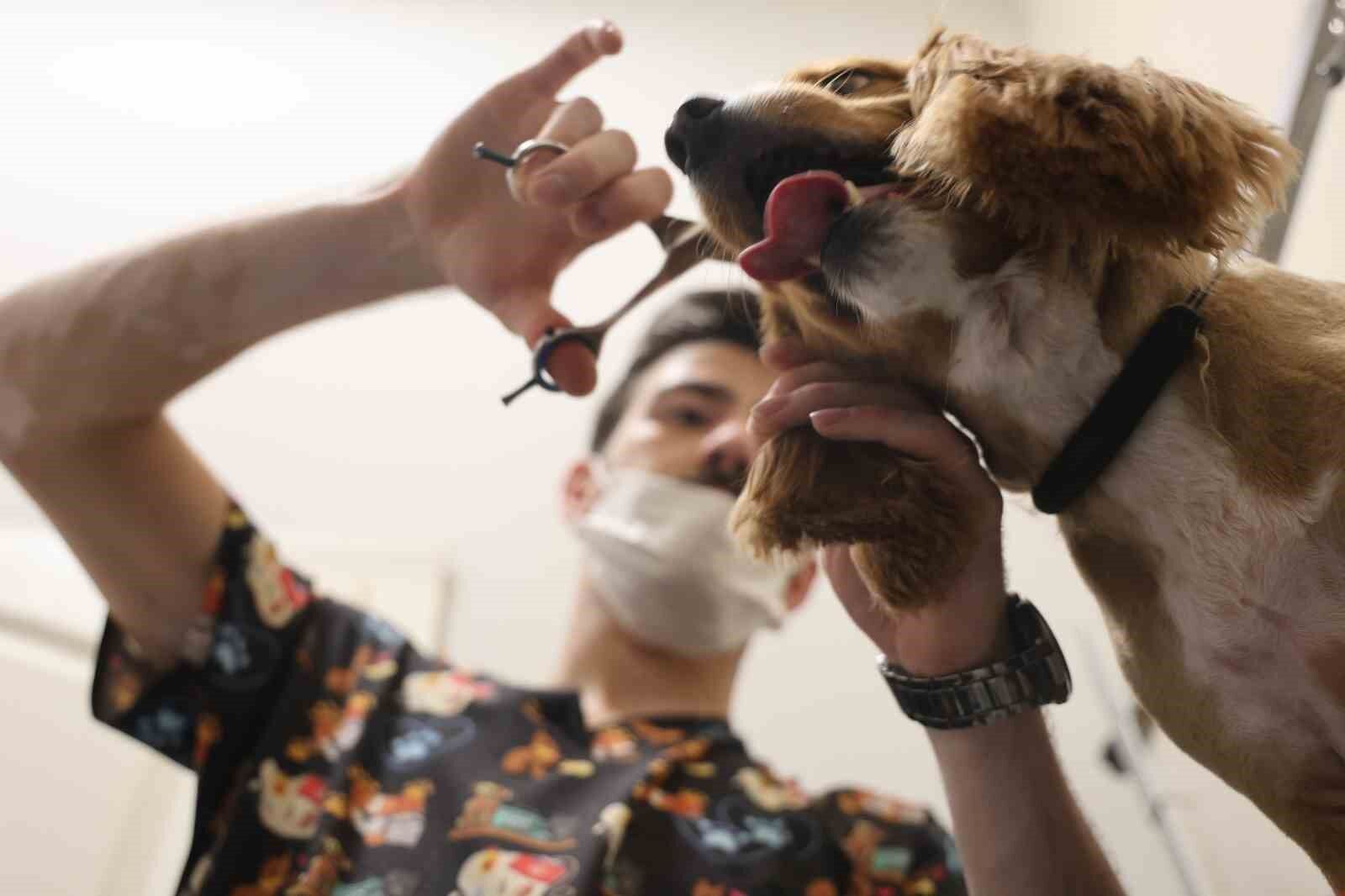 Tüy ve tırnak bakımında bölgenin en şirin merkezi: Bu kuaförde sadece köpekler tıraş oluyor