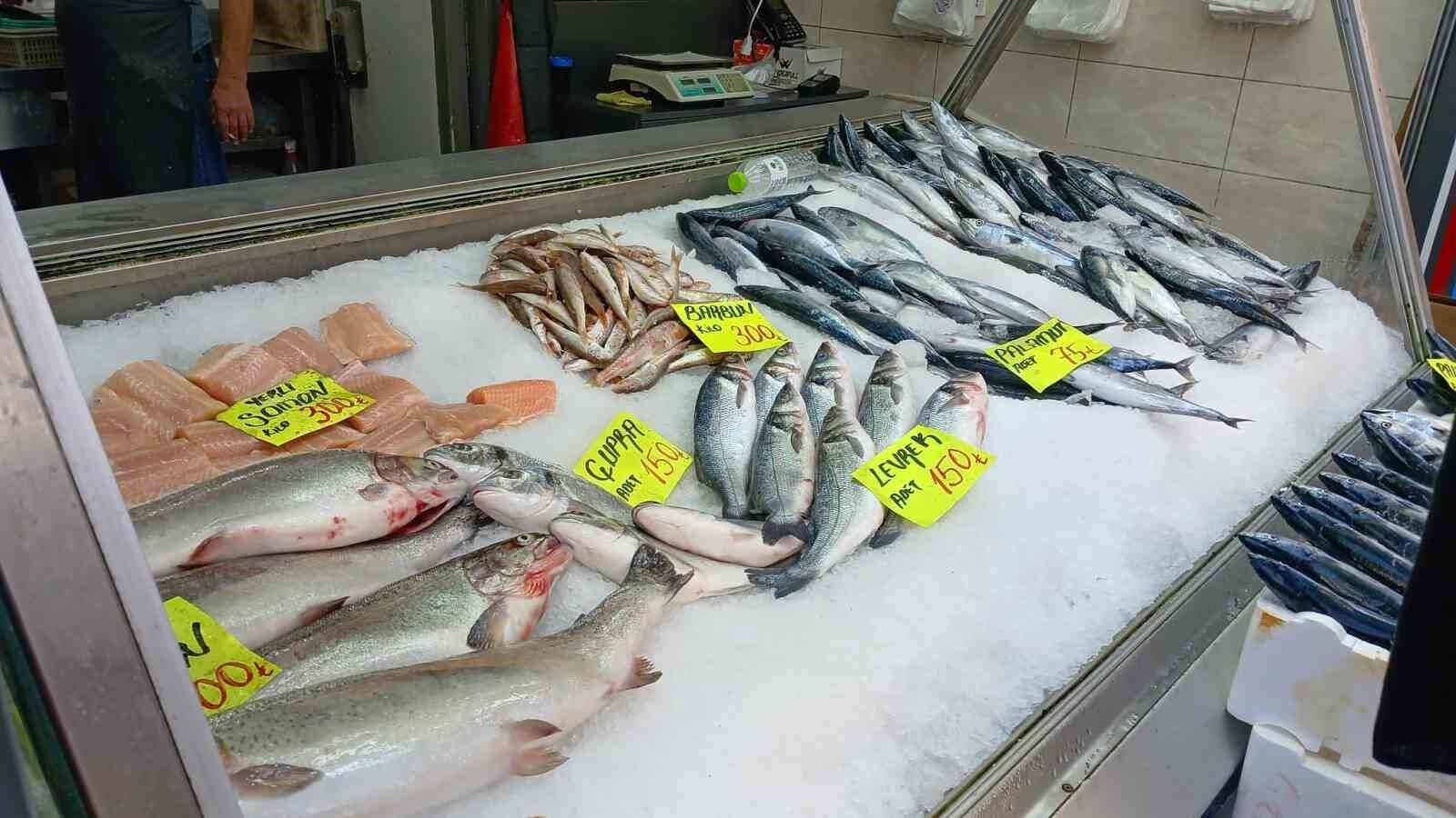 Palamut bolluğu vatandaşın yüzünü güldürüyor