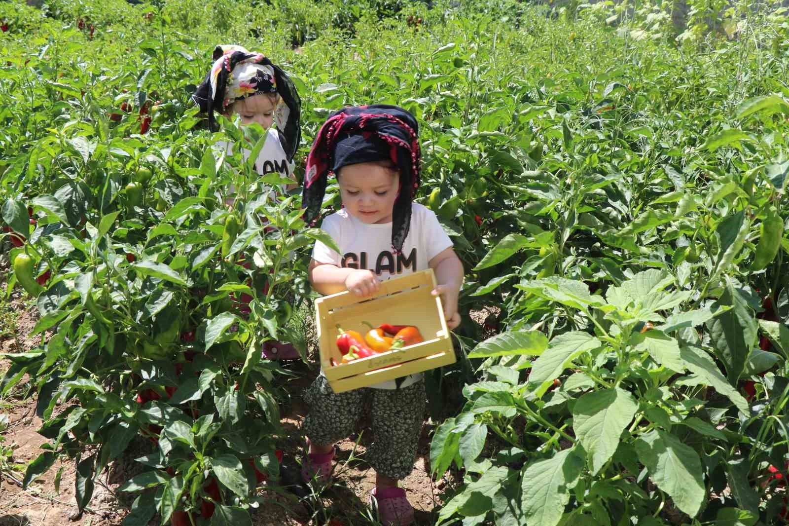 Erzincanlı sevimli ikizler sosyal medyada fenomen oldu