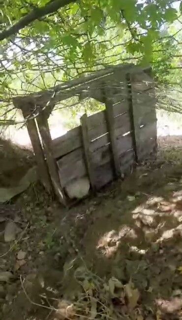 Elazığ’da domuz sürüsü bahçeyi talan etti, bahçe sahibi duruma tepki gösterdi