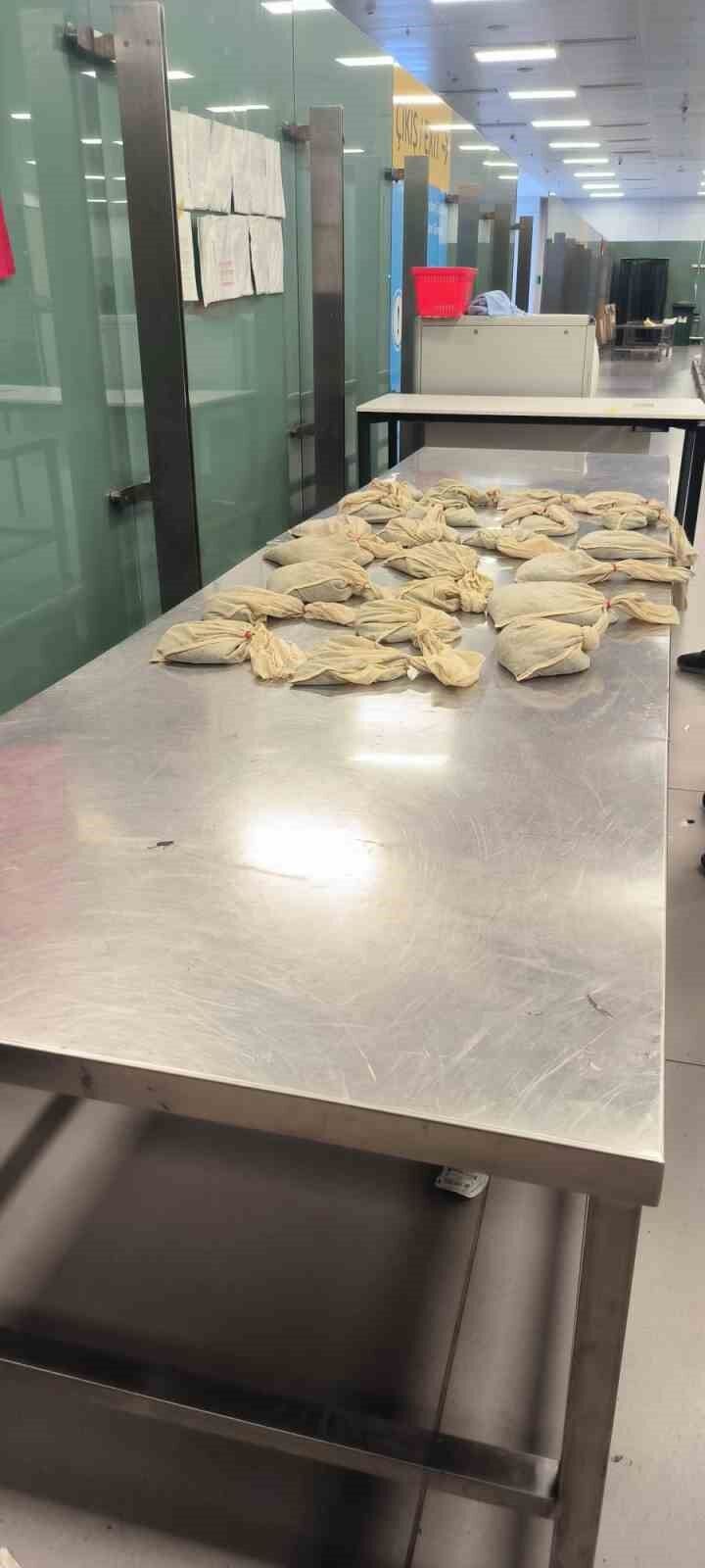 İstanbul Havalimanı’nda 20 bin adet canlı tıbbi sülük ele geçirildi