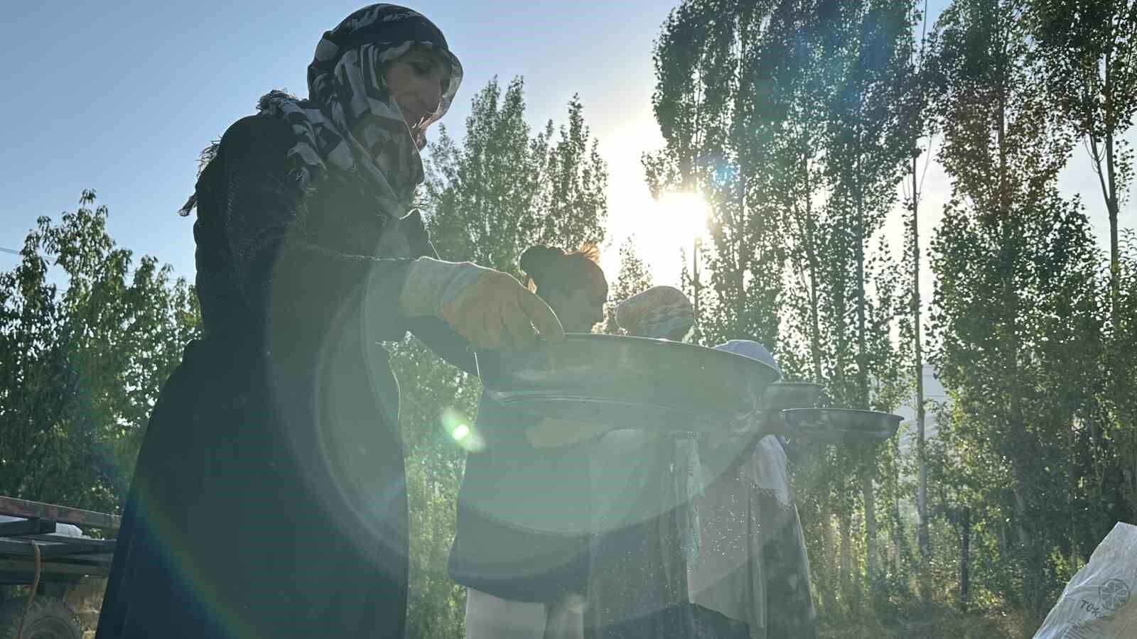 Kadın çiftçilerden eski usul yonca tohumu eleme ve ayıklama mesaisi