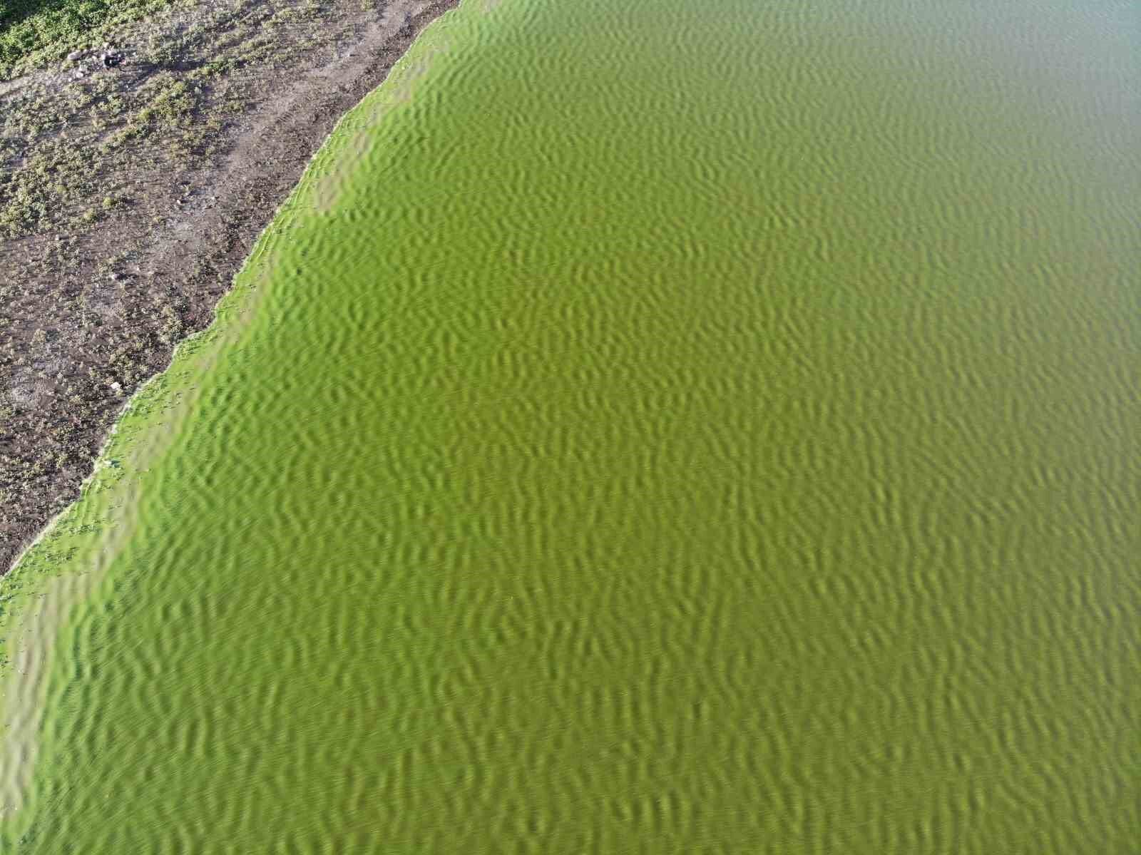 Kars Baraj Gölü’nde alg patlaması: Suyun rengi yeşile döndü