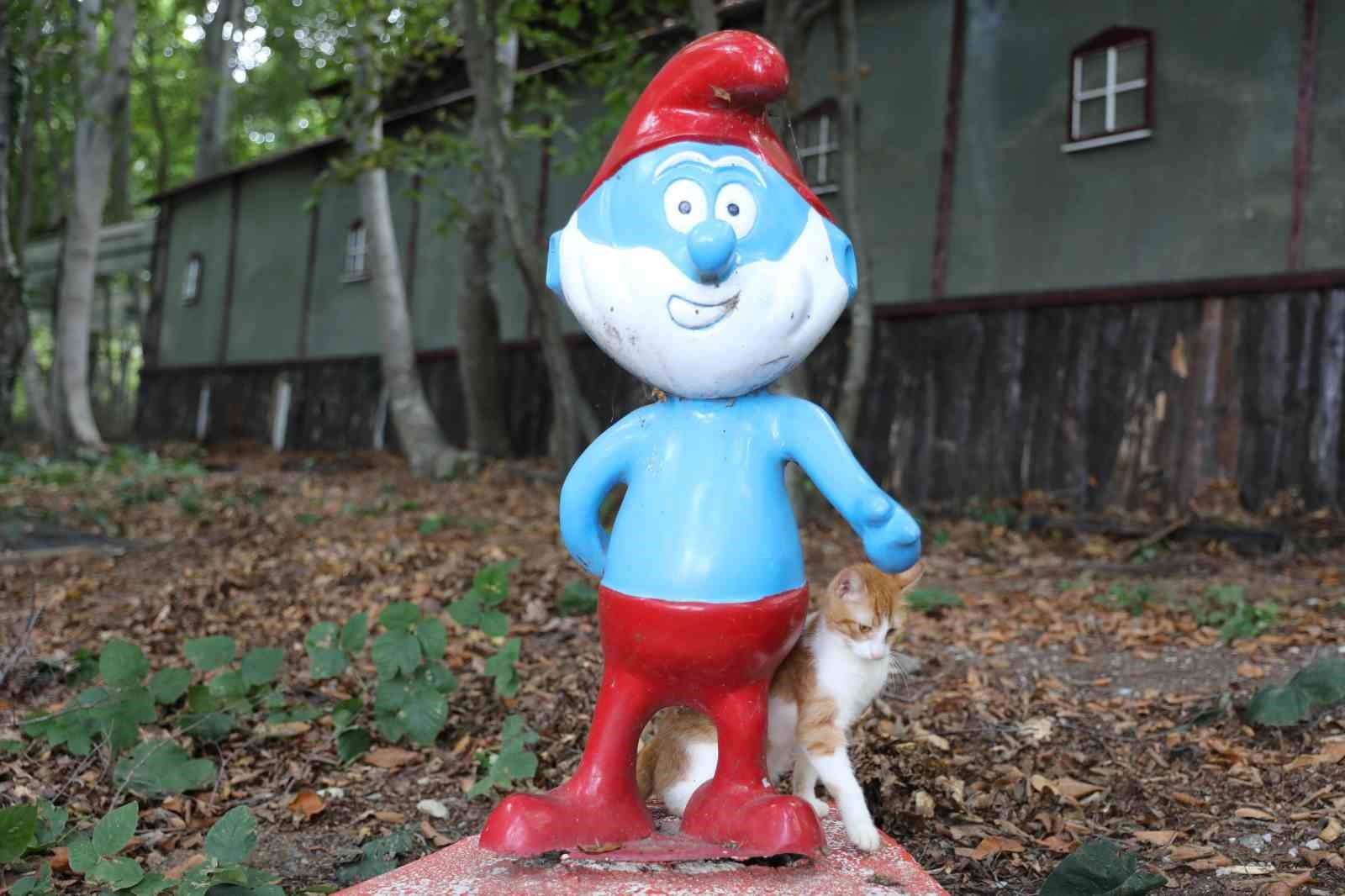 ‘Kedi Kasabası’ Türkiye’de örnek