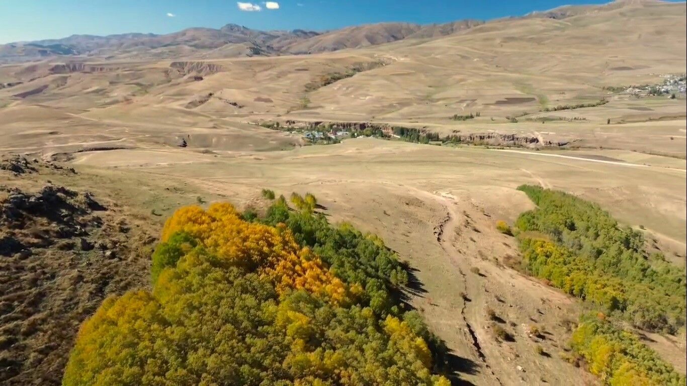 Sarıkamış ormanlarında renk cümbüşü