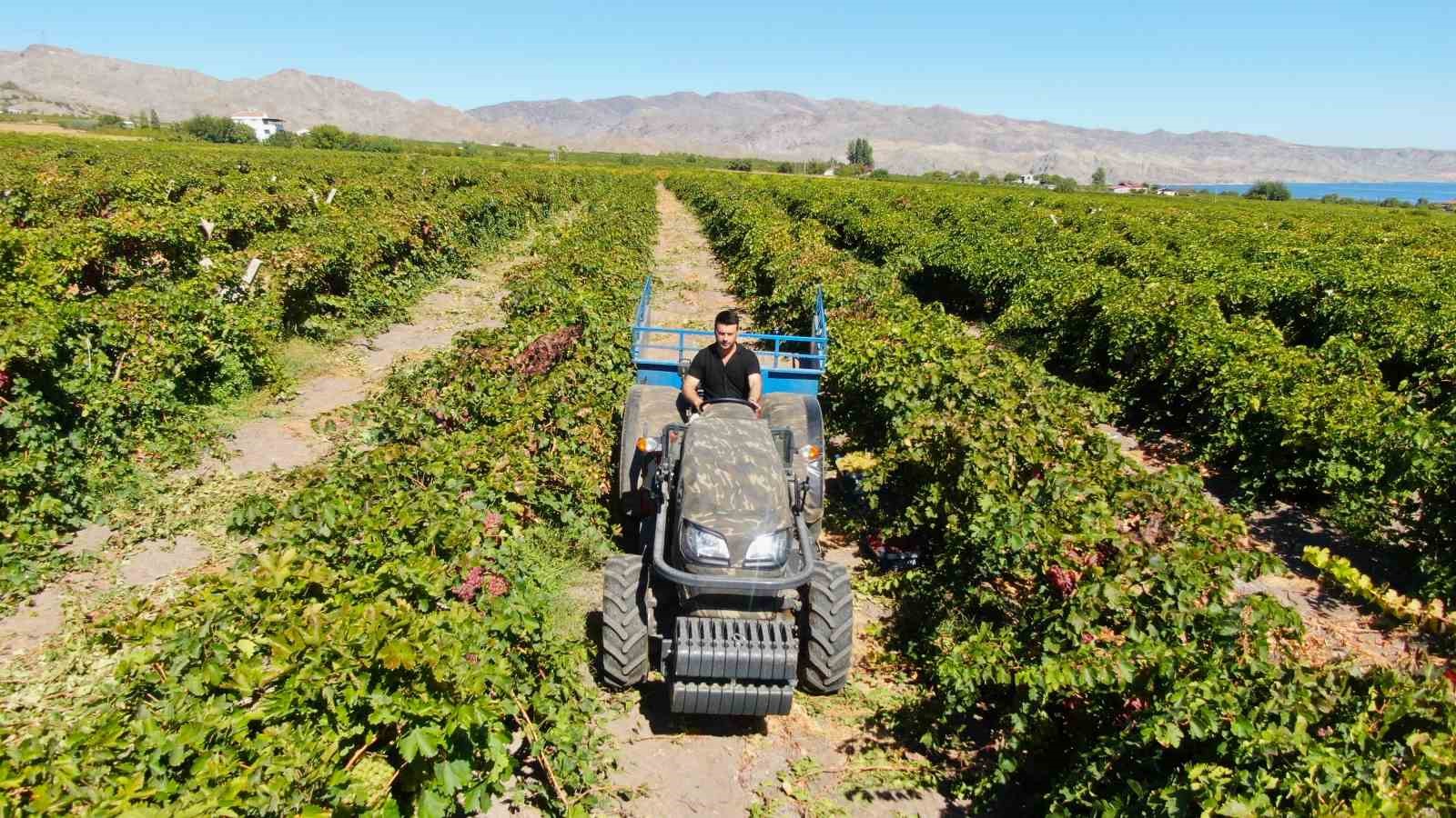 Mühendislikten çiftçiliğe: Haftada 2-3 gün çalışarak 4-5 mühendis maaşı kazanıyor