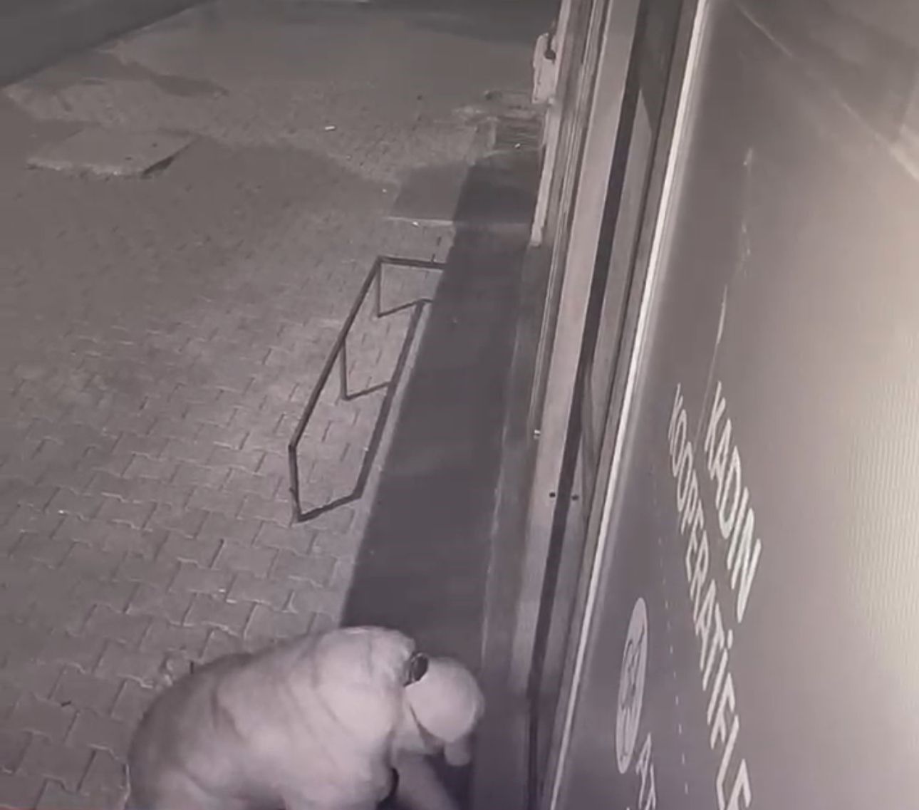 Iğdır’da Türkiye Tarım Kredi Kooperatiflerine ait iş yerine hırsızlık girişimi