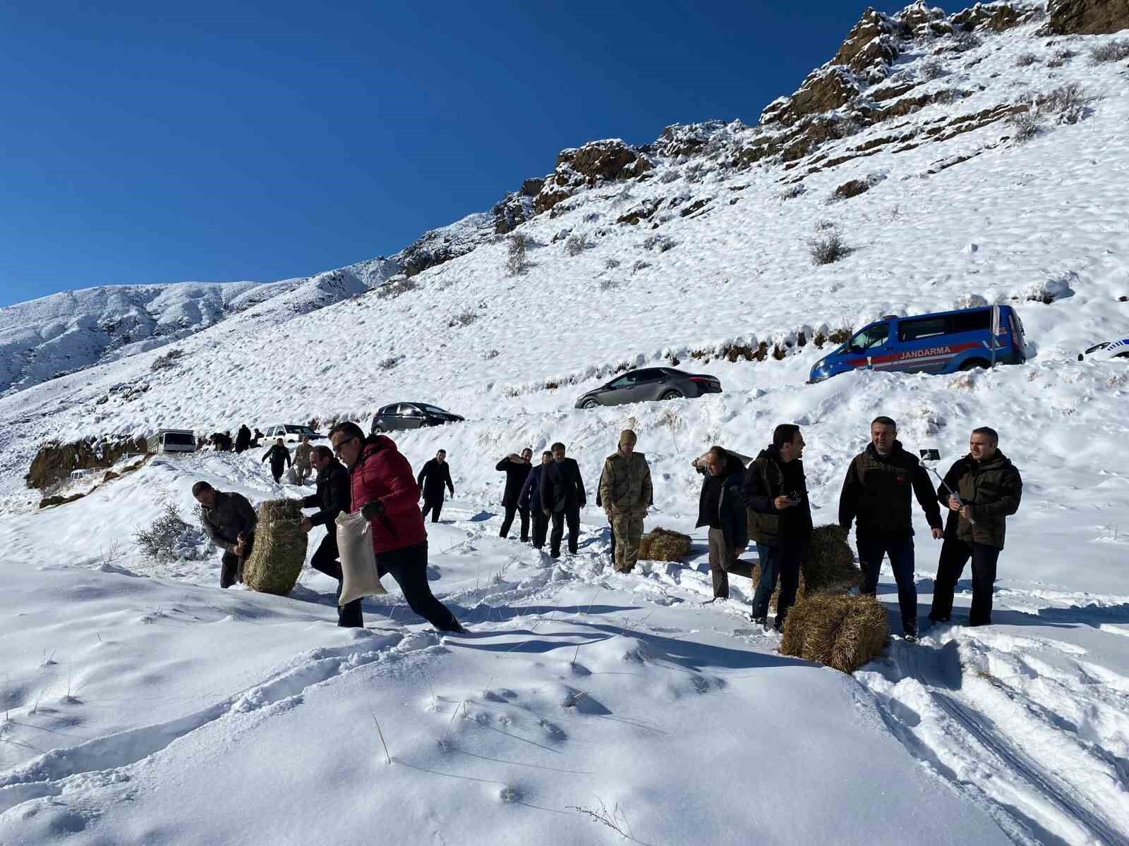 Yaban hayatını unutmadılar