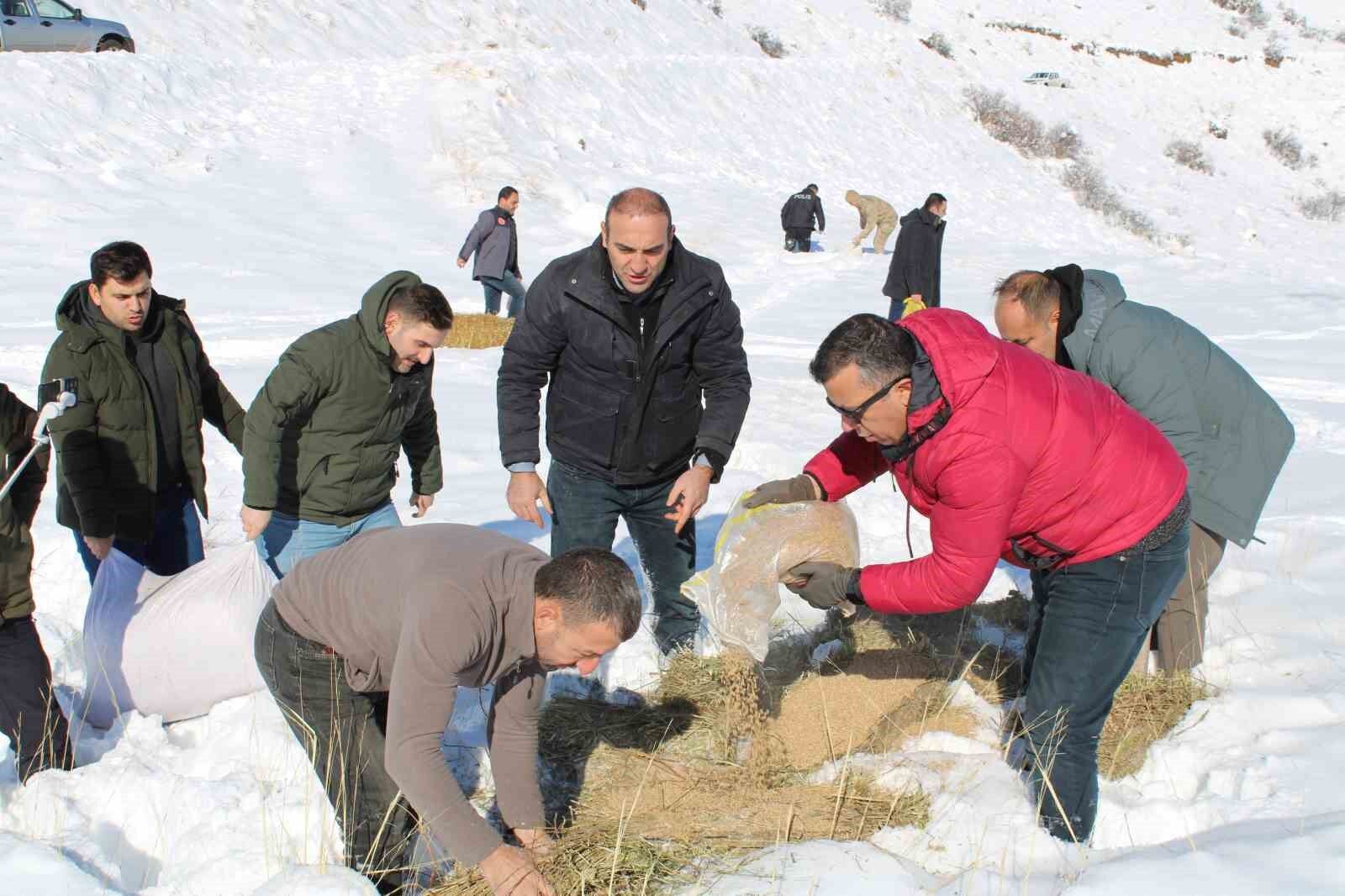 Yaban hayatını unutmadılar