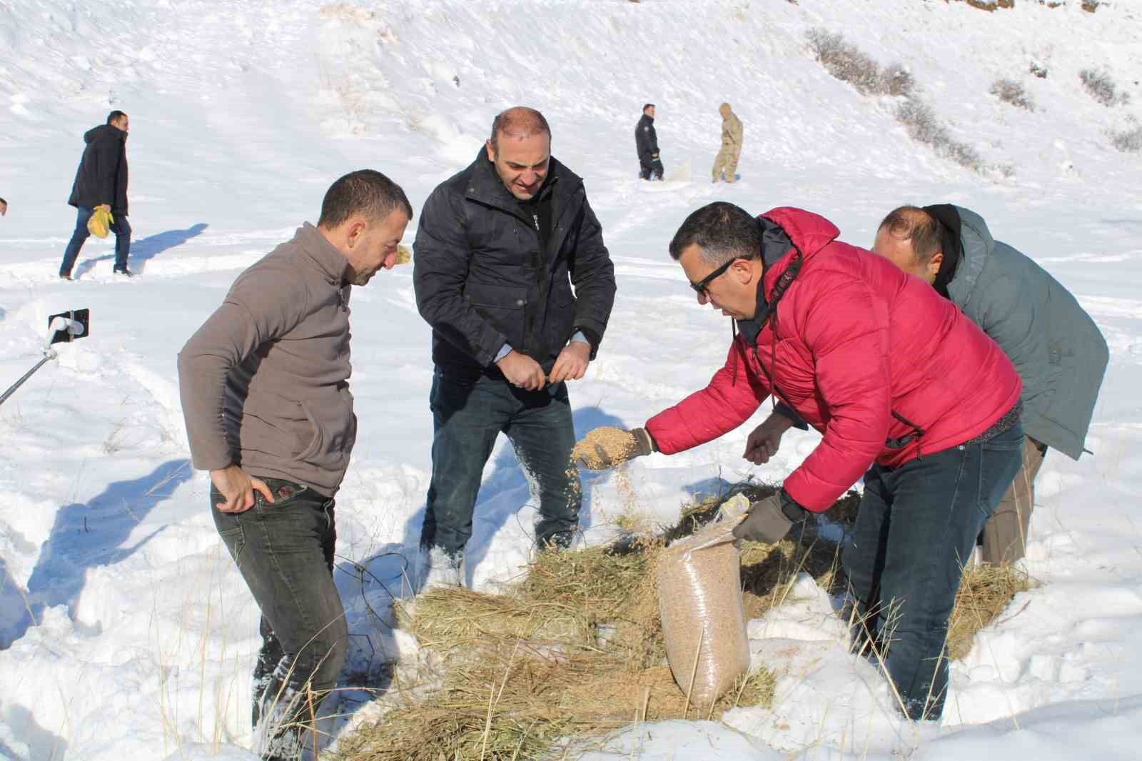 Yaban hayatını unutmadılar