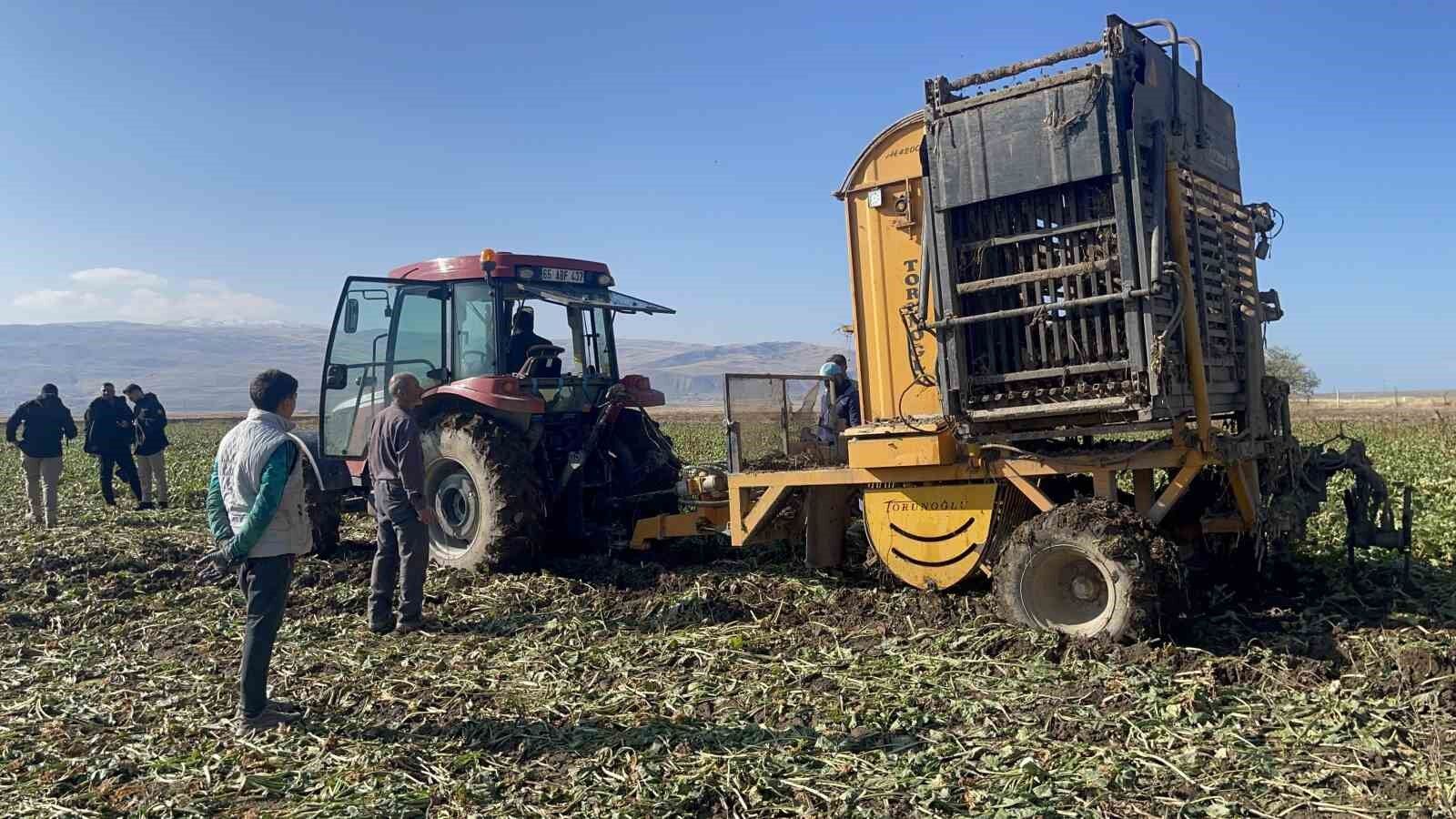Muradiye’de şeker pancarı hasadı başladı