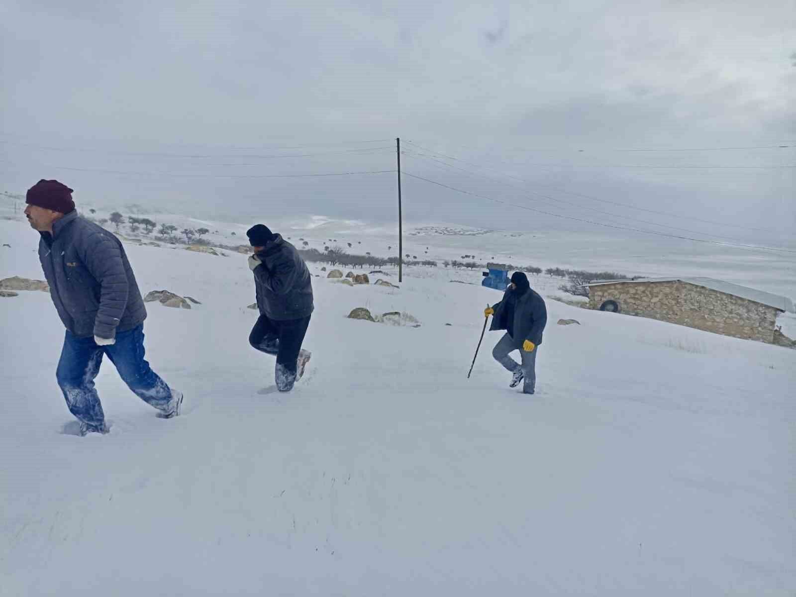Malatya’da yaklaşık 100 küçükbaş donarak hayvan telef oldu