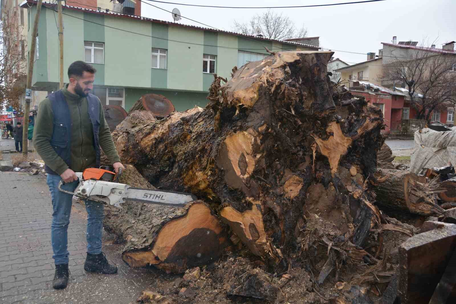 Ceviz ağaçlarının parçalarını süs eşyasına dönüştürüyorlar