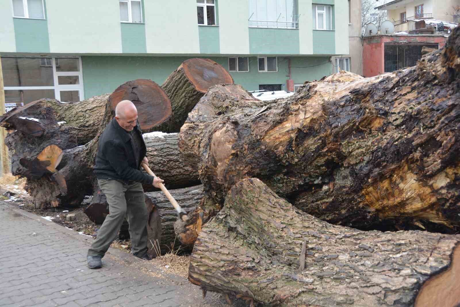 Ceviz ağaçlarının parçalarını süs eşyasına dönüştürüyorlar